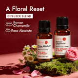 Detalle del empaque de H'ana Roman Chamomile, protege la pureza sin rellenos sintéticos.