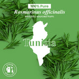 Ritual aromático con romero Handcraft Blends para relajación del ambiente.
