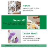 Difusor en casa con aceite de romero Handcraft Blends para ambiente agradable.