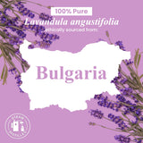 Regalo de lavanda Handcraft Blends en estuche elegante.