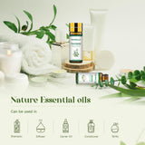 Hanolly arbol-de-te: aceite esencial para perfumar el hogar.