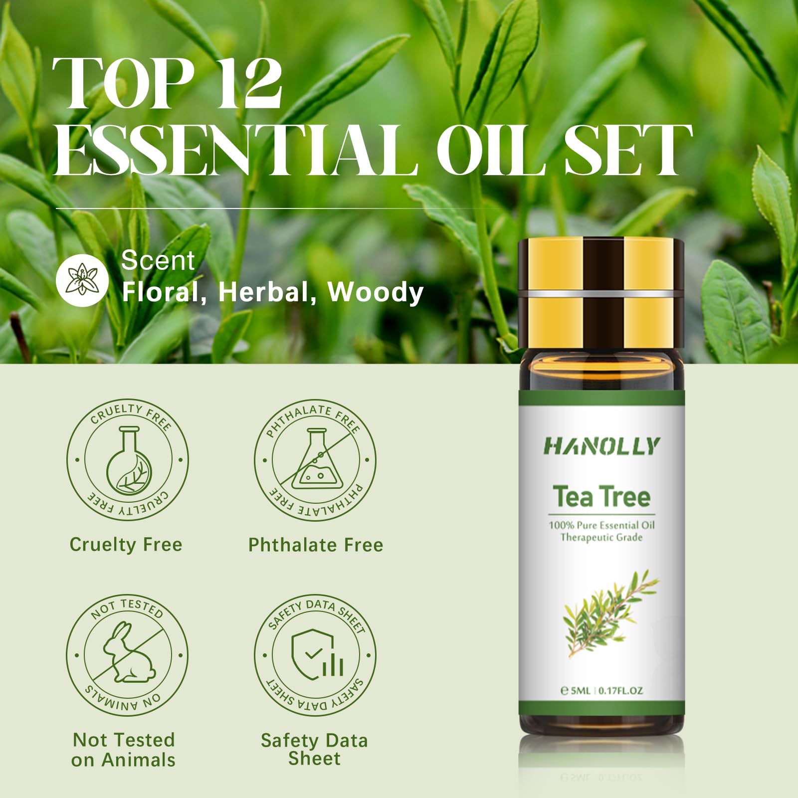 Hanolly caja regalo de aceites esenciales para regalo perfecto.