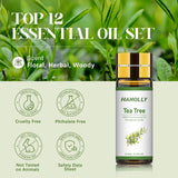 Hanolly caja regalo de aceites esenciales para regalo perfecto.