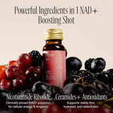 Happy Aging 2Nutri liposomal delivery graphic highlighting enhanced absorption.