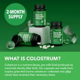 Empaque HAVASU NUTRITION Colostrum, detalle de presentación de 120 cápsulas