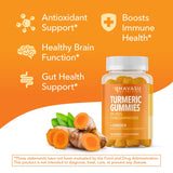 Ingredientes veganos HAVASU NUTRITION curcuma-jengibre, opción consciente.