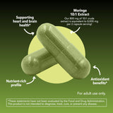 HAVASU NUTRITION Moringa: preparación rápida en bebida para impulso de vitalidad