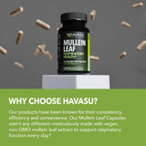 Extracto de 500 mg de hoja de gordolobo para apoyo potencial.