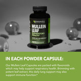 Toma diaria de Mullein Leaf Capsules para consistencia en la rutina.