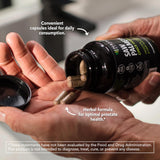Havasu Nutrition Saw Palmetto ingredientes clave: extracto suave para soporte diario.