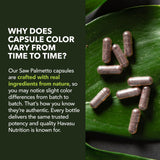 Havasu Nutrition Saw Palmetto uso diario: conveniente dosis diaria.