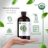 HBNO gotas de aceite de árbol de té para aromatizar espacios