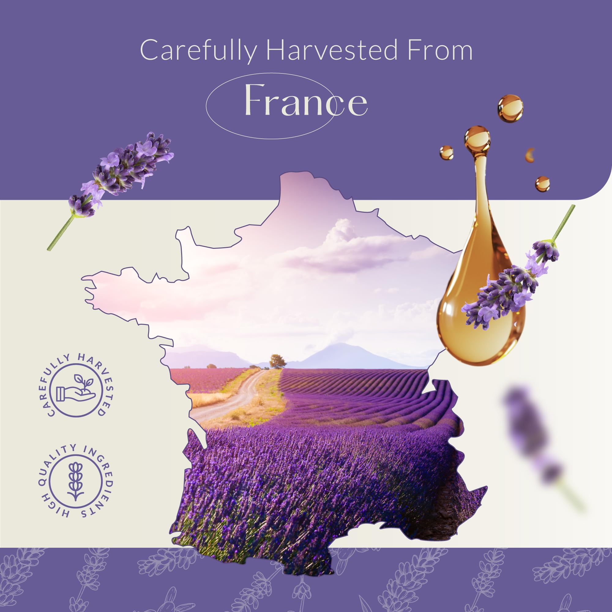 HBNO Lavanda Holandesa: uso creativo en jabones y cosmética artesanal