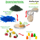 Gomitas Healing Drops Spirulina y musgo mar sabor naranja, energía sostenida para el día