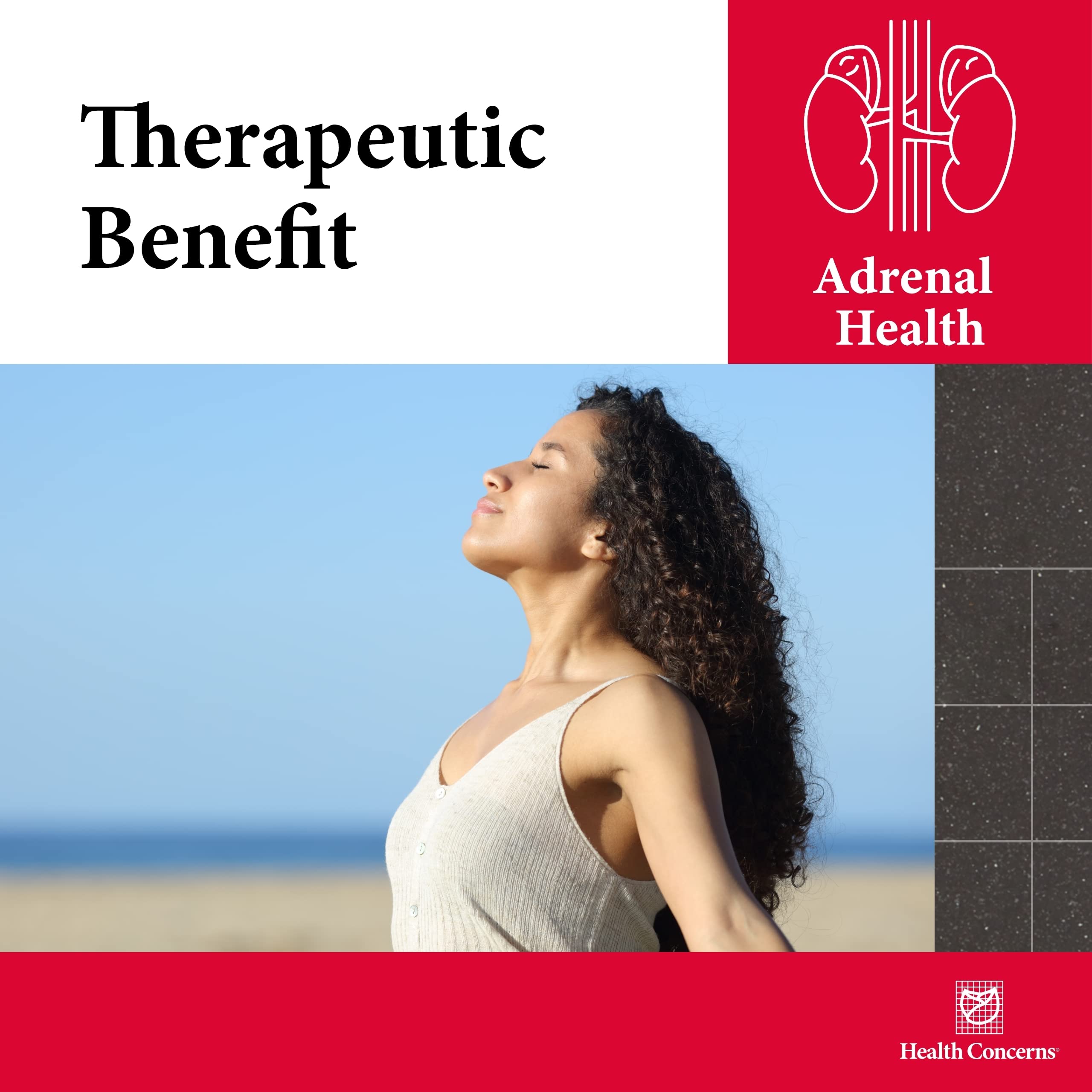 Health Concerns Adrenosen: uso diario para energía y enfoque