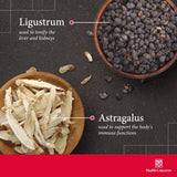 Health Concerns Astra Essence, ingredientes herbales: mezcla tradicional para equilibrio y enfoque sostenido.