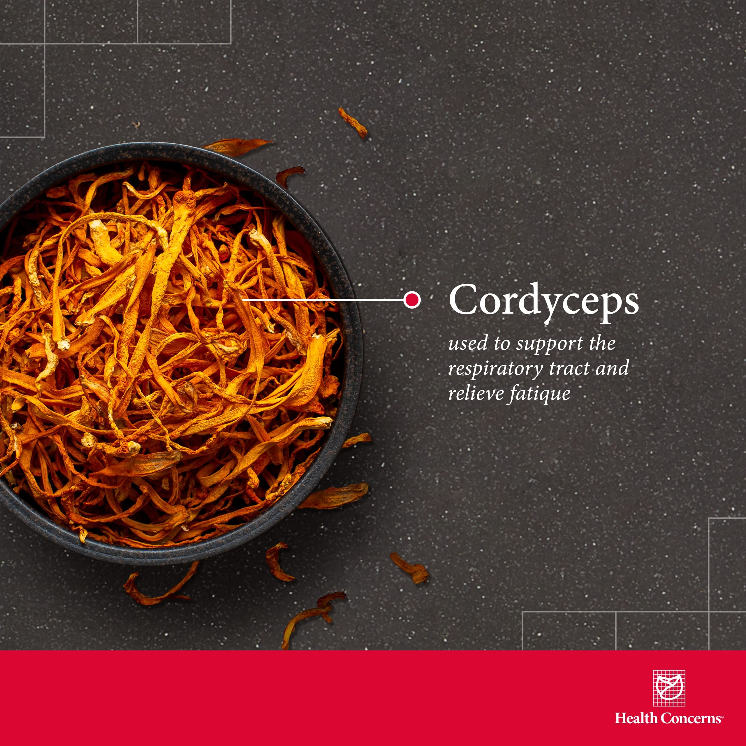Health Concerns Cordyceps PS, dosis diaria indicada para 25 porciones.