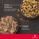 Health Concerns Yin Chao Junior ingredientes forsythia para apoyo respiratorio