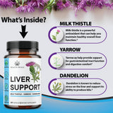 Health Heals diente de leon raiz, mezcla herbal para digestión suave