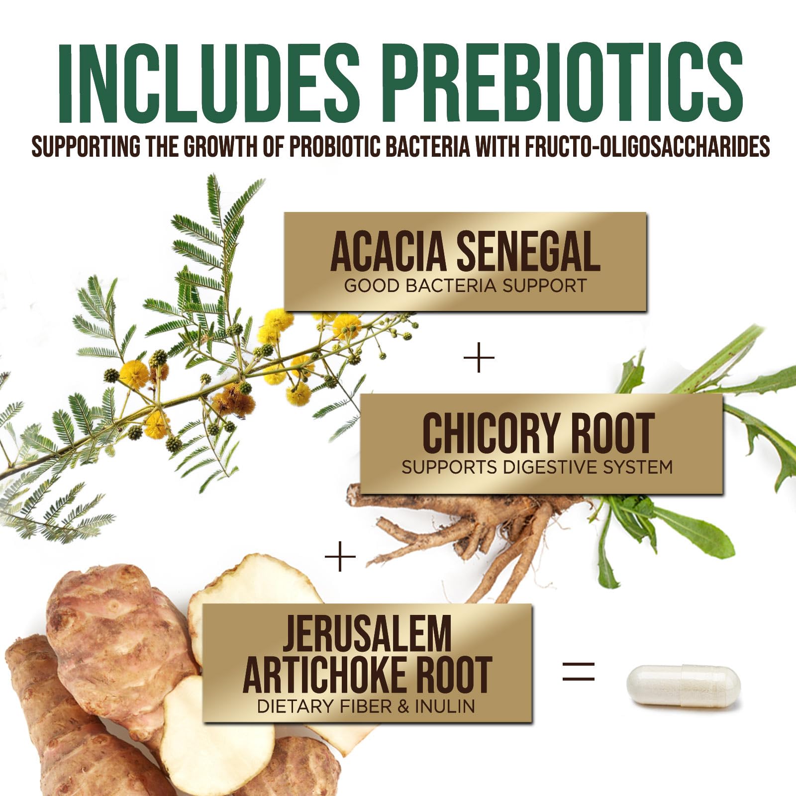 Health Nutrition Naturals Probiotics cápsulas fácil de tragar para vida activa