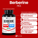 Healthfare Berberina HCL 5000mg en bote de 120 cápsulas, práctico diario.