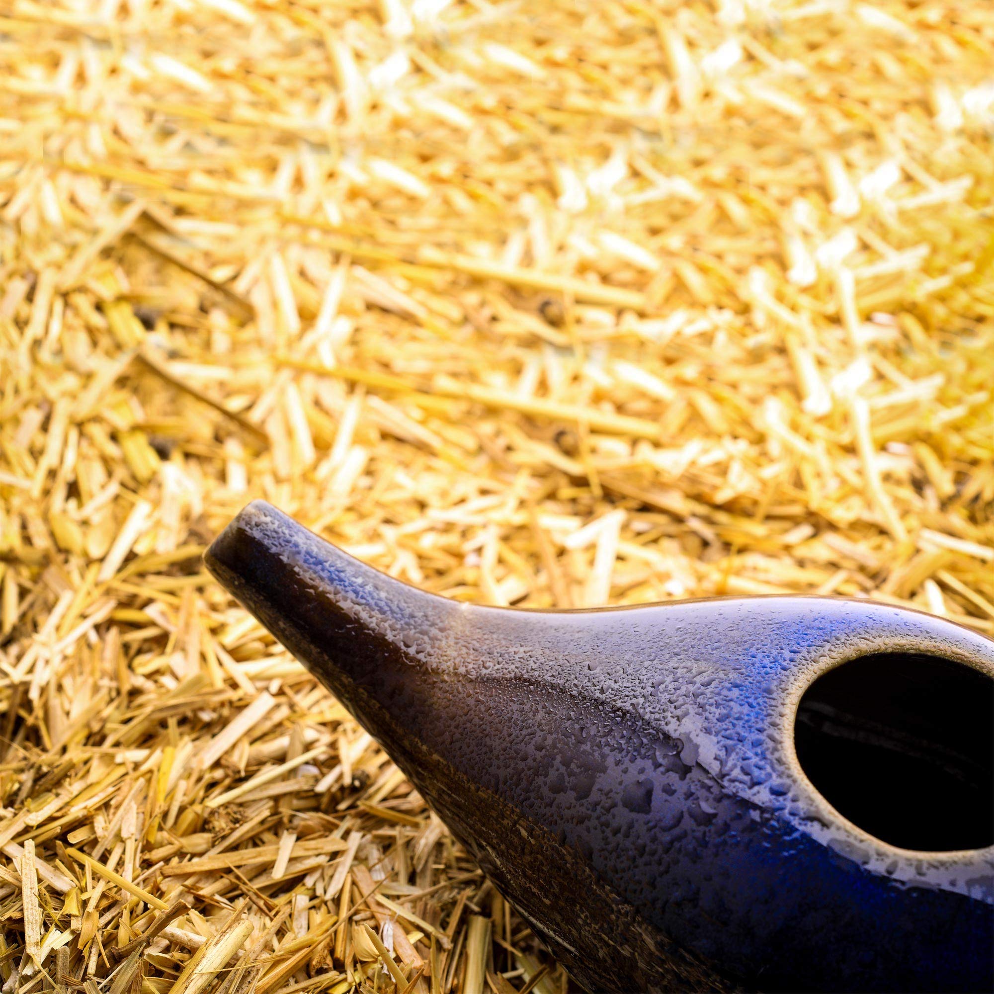 HealthGoodsIn Hecho en India, proceso artesanal de calidad