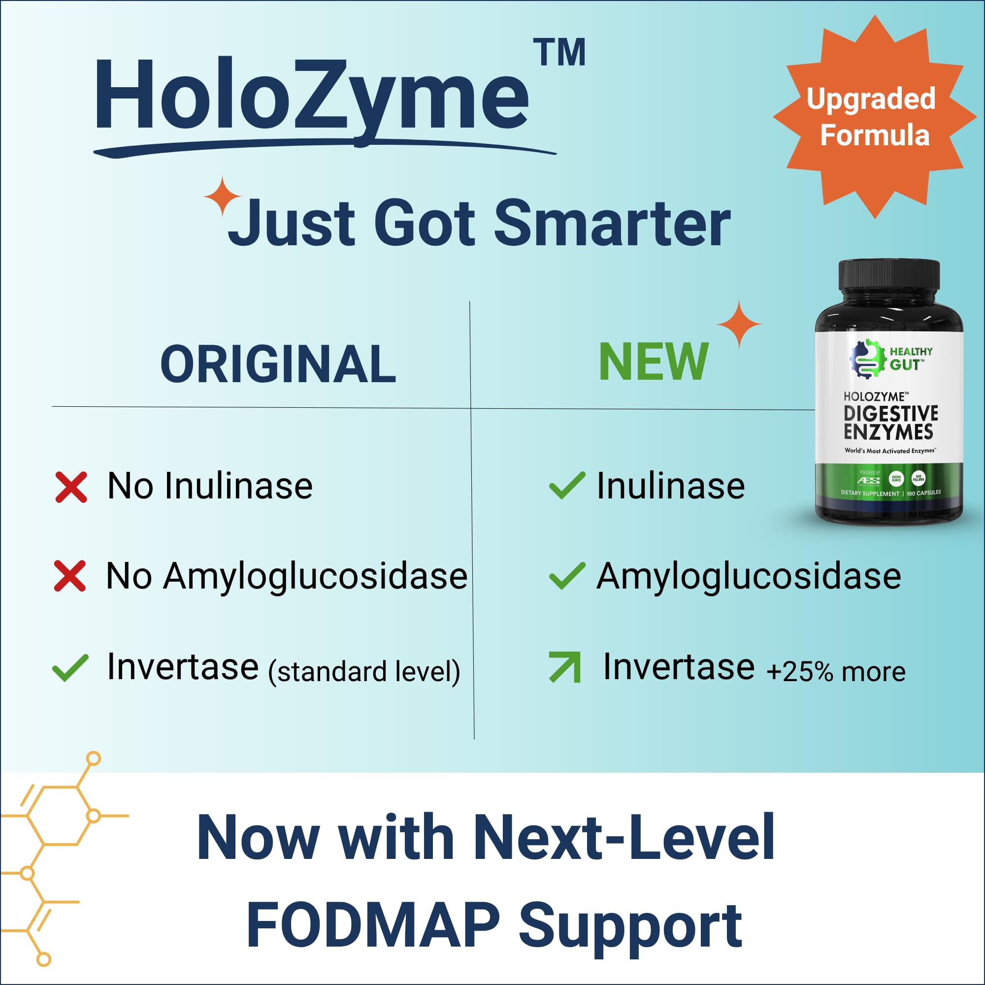 Dosis diaria de Healthy Gut HoloZyme Max para apoyo digestivo