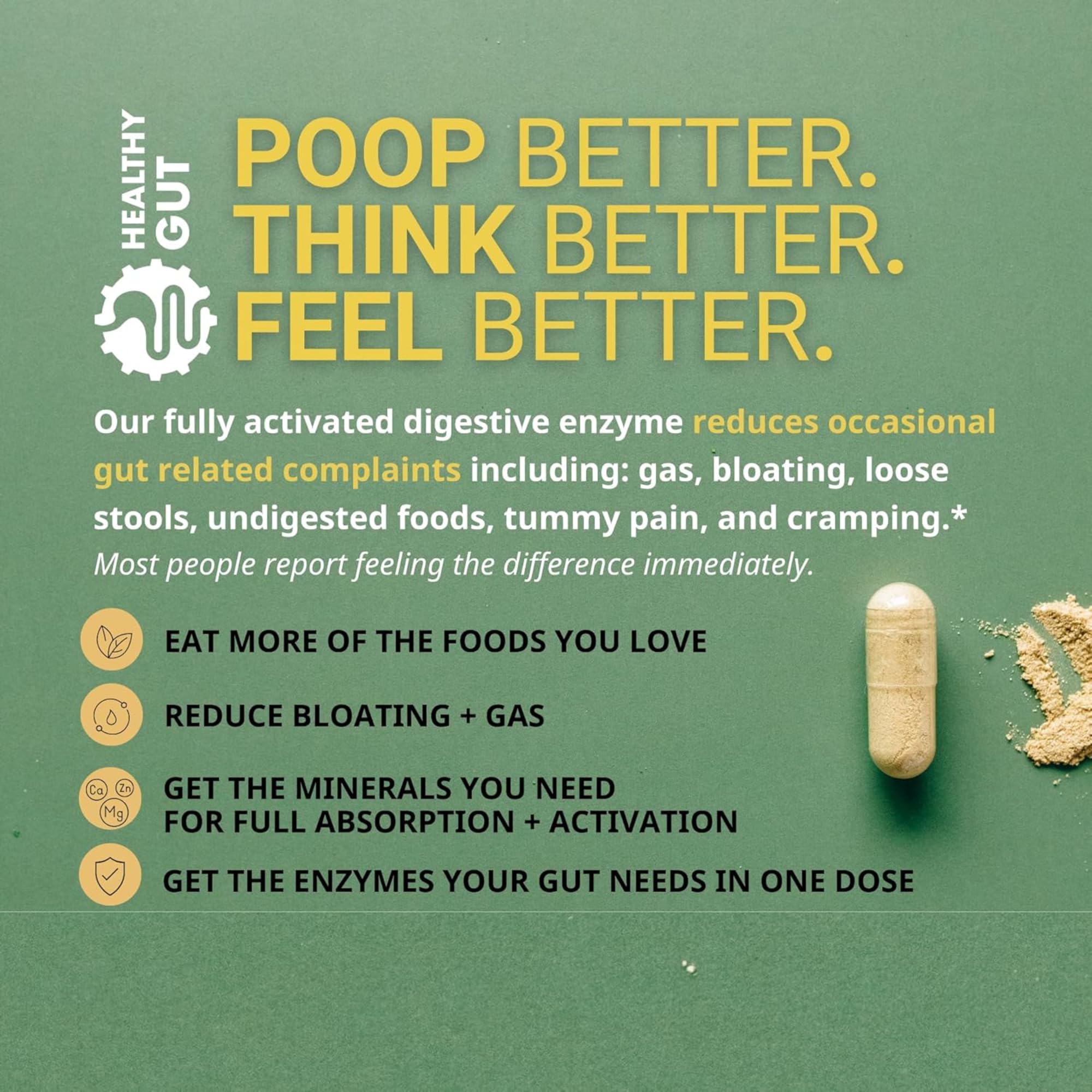 Ingredientes clave de Healthy Gut HoloZyme Max