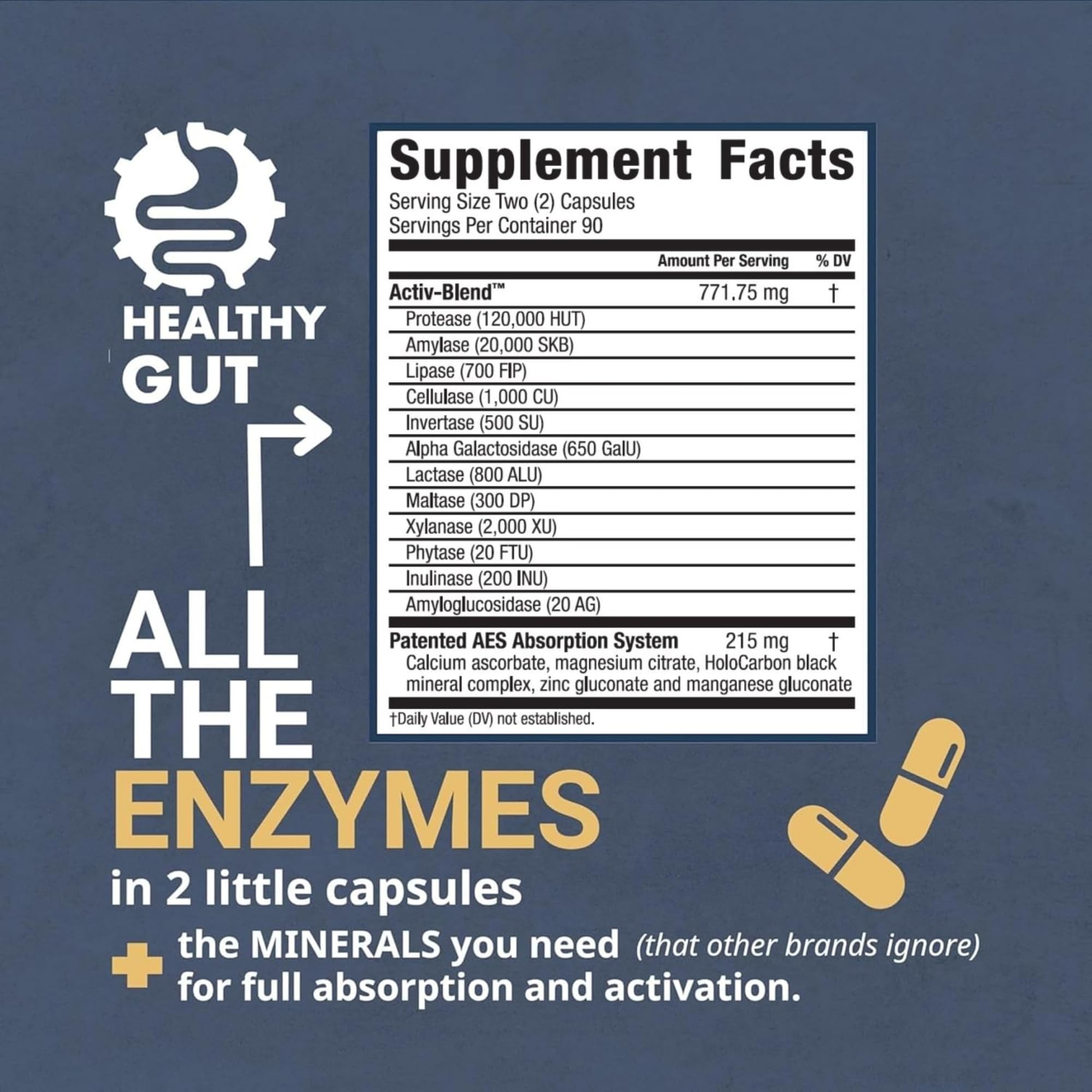 Healthy Gut HoloZyme Max cápsulas para consumo diario tras las comidas.