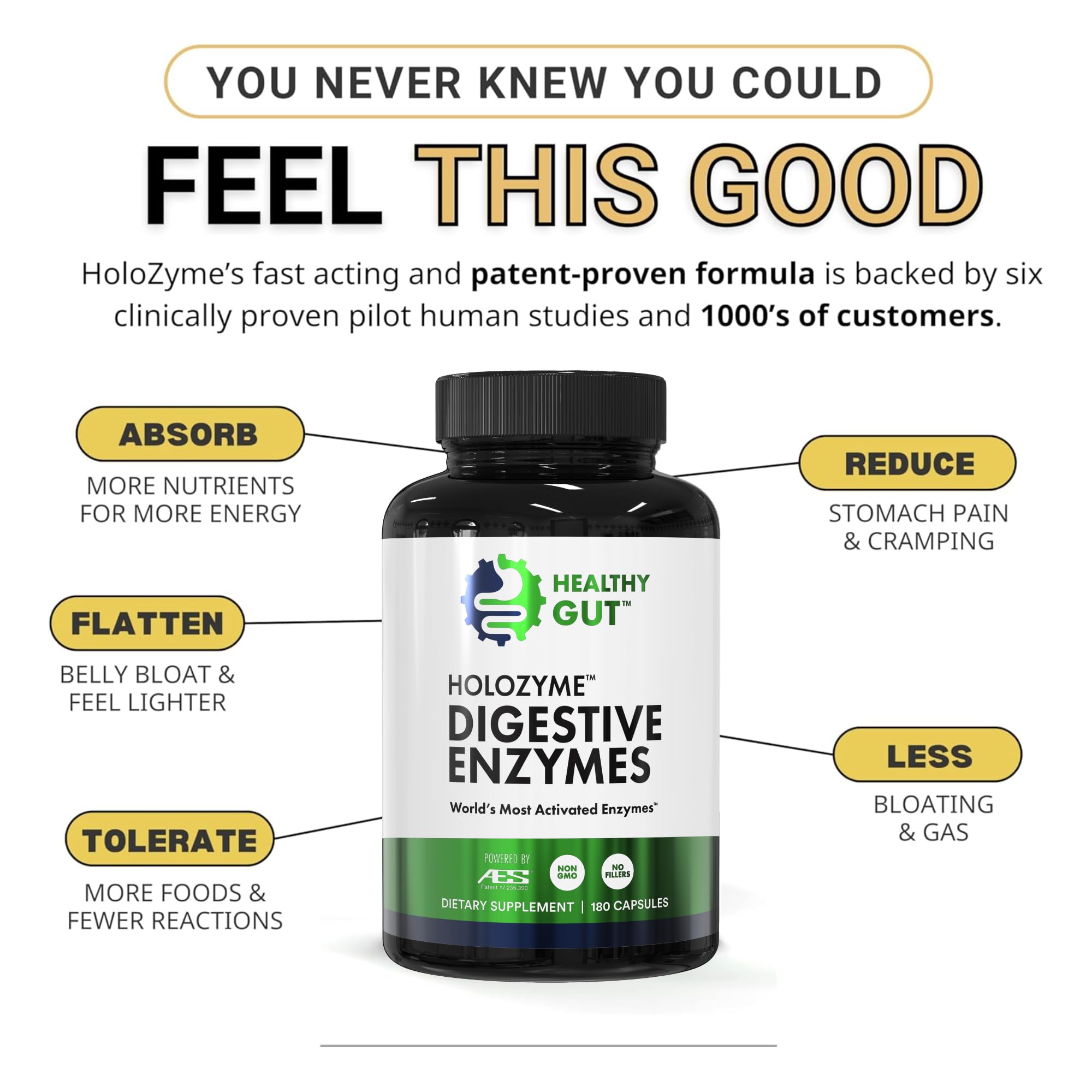 Healthy Gut HoloZyme Max lista de enzimas para digestión completa.