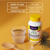 Healthy Origins Pycnogenol 100 mg, caja del producto con diseño claro