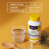 Healthy Origins Pycnogenol 150 mg mezcla antioxidantes con proantocianidinas.