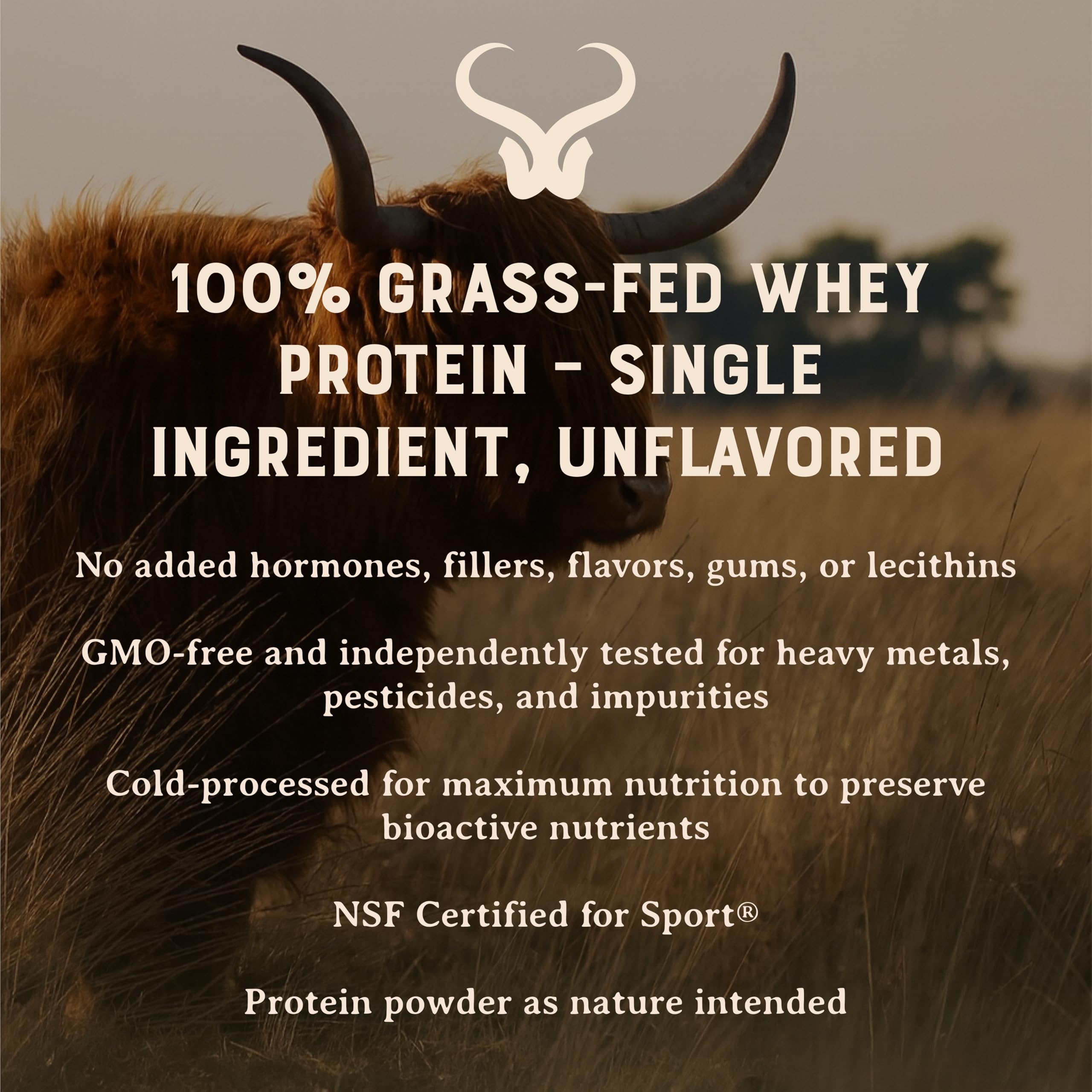 Heart & Soil proteína whey concentrada, tazón de batido para recuperación diaria.