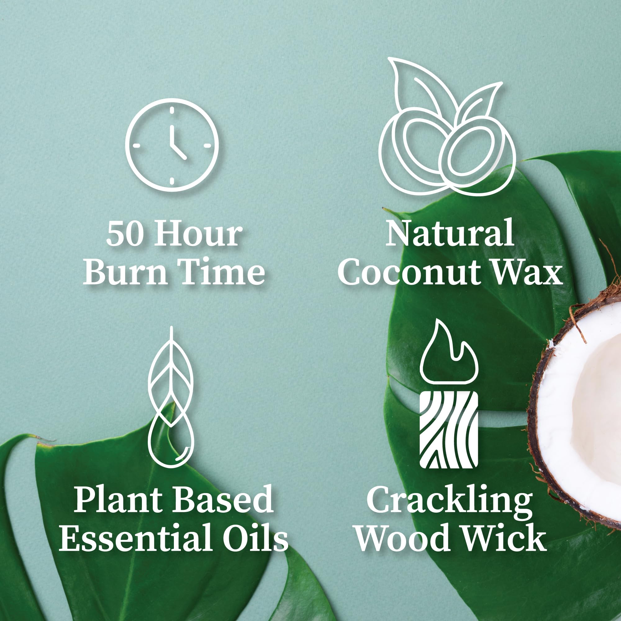 Hemlock Park vela aromaterapia herbácea con notas frescas para relajación.
