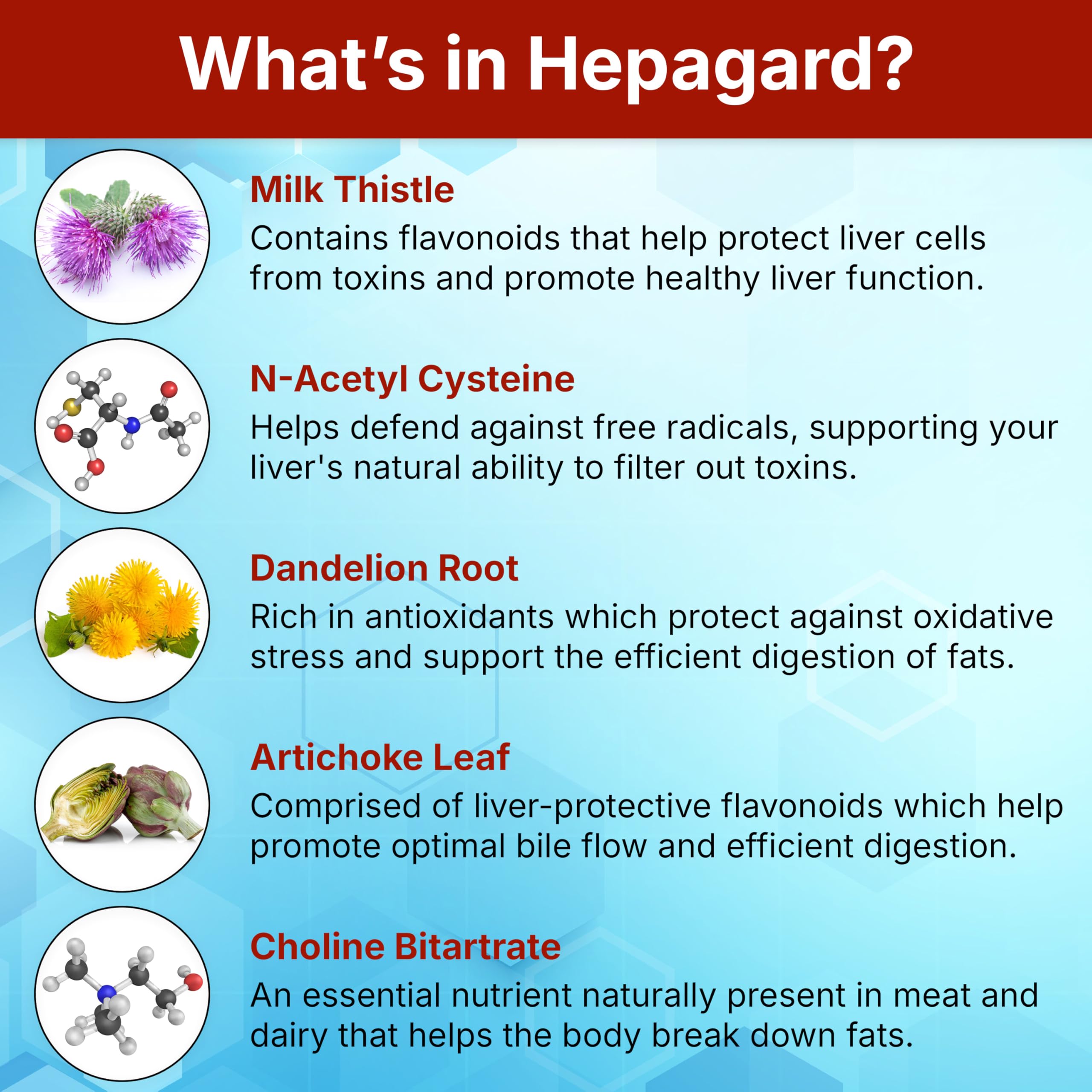 Hepagard colina-bitartrato: nutrientes para desintoxicación suave.