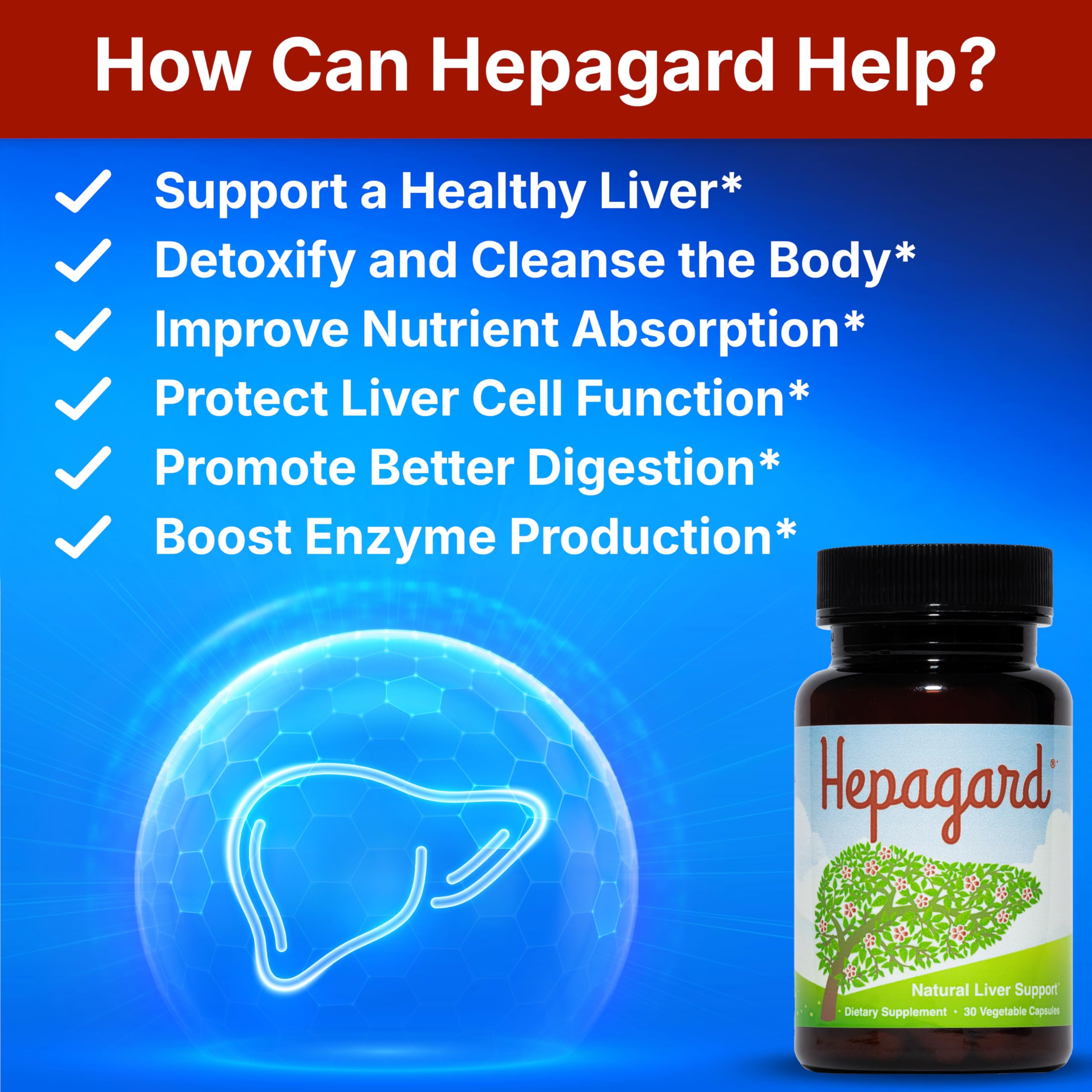 Hepagard ingredientes clave: mezcla natural para apoyar funciones hepáticas.