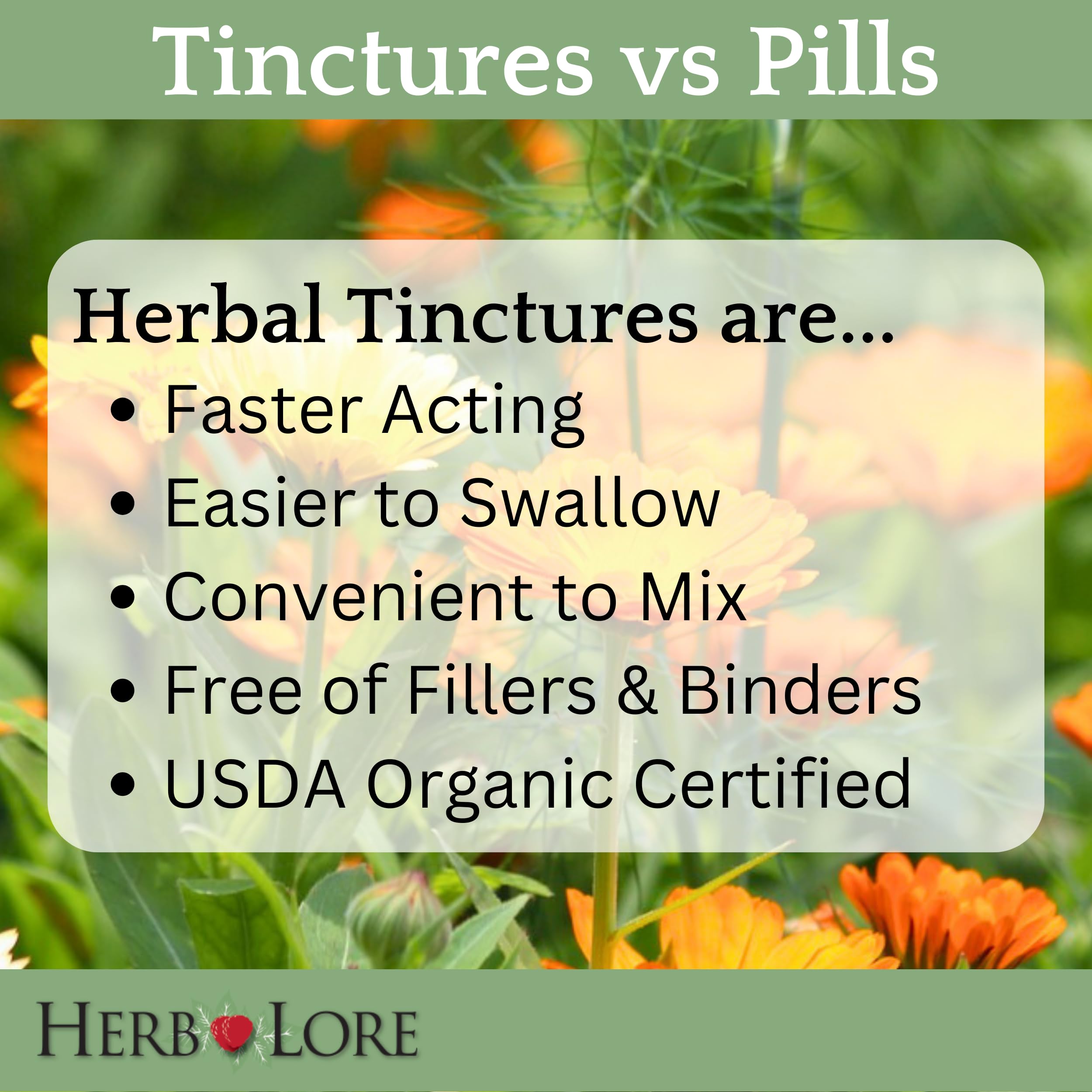 Herb Lore Shatavari tintura para lactancia lista para mezclar en té
