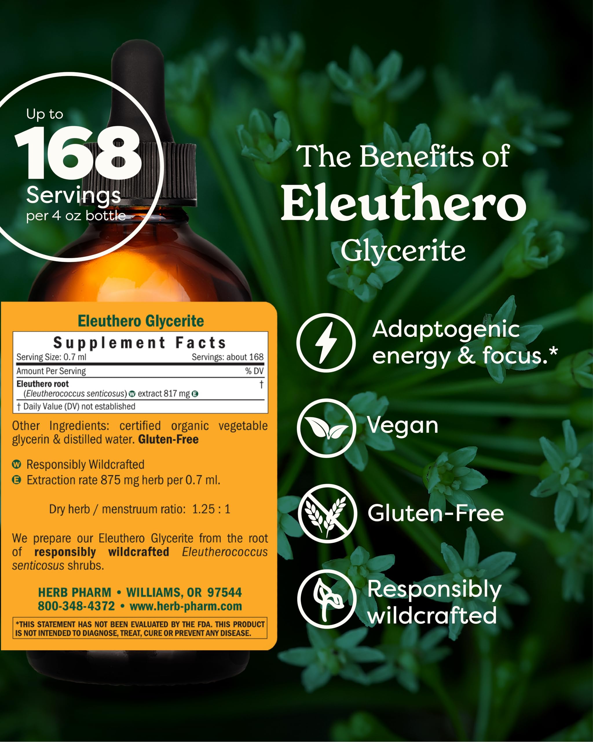 Eleuthero con sabor terroso, fácil de mezclar en agua