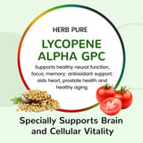 Alpha GPC en HERB PURE, posible apoyo a la concentración