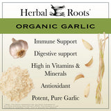 Herbal Roots cápsulas de ajo, primer plano destacando la pureza.