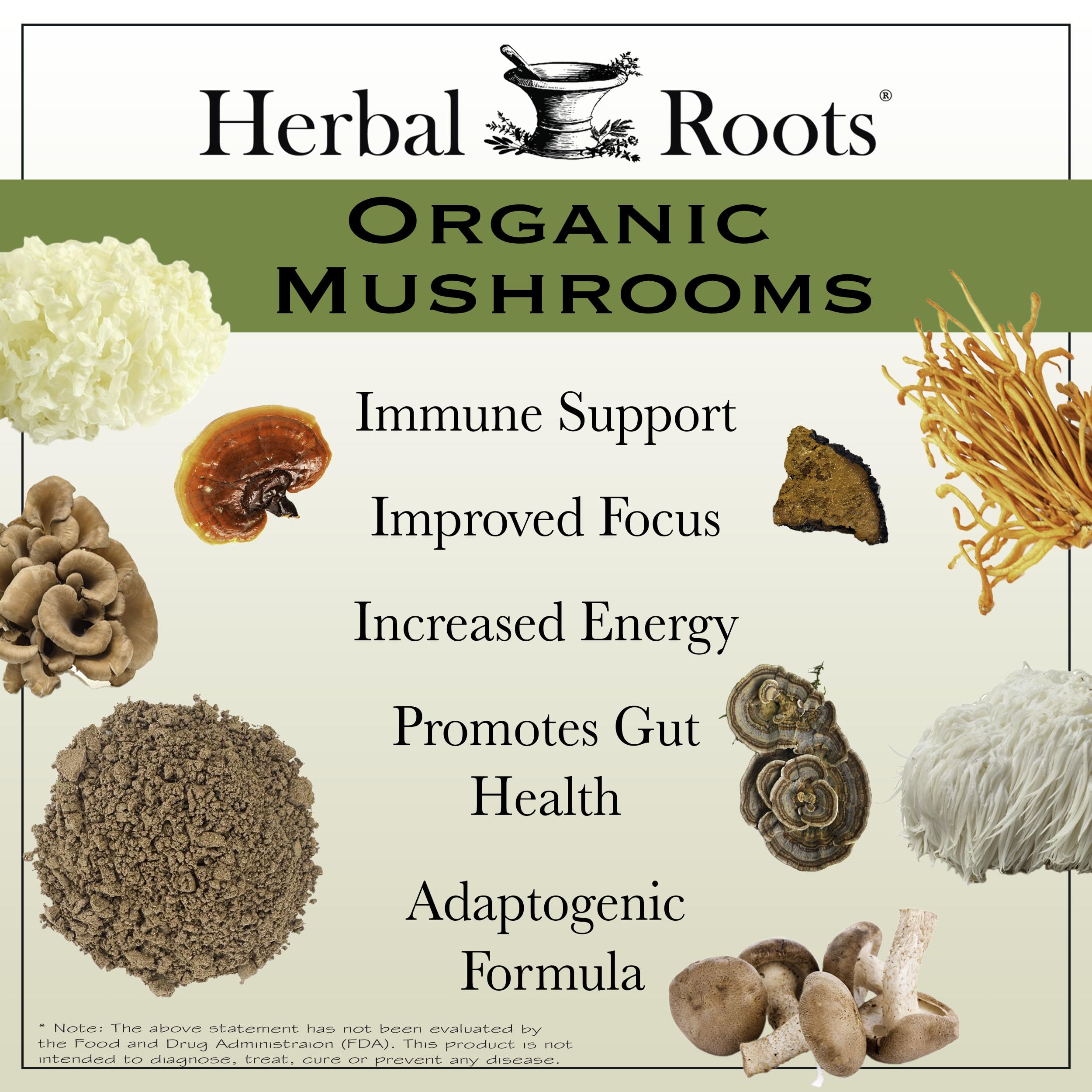Herbal Roots Frutos frutificantes: cuerpo fructificante para bienestar diario.