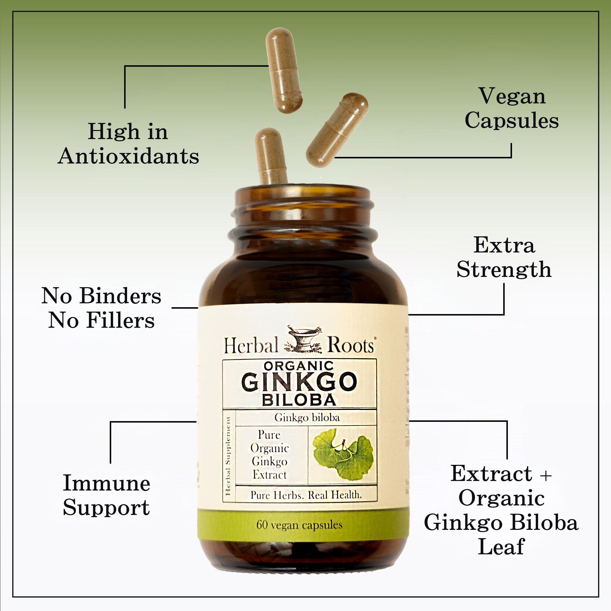 Herbal Roots Ginkgo Biloba – etiqueta clara para control de calidad.