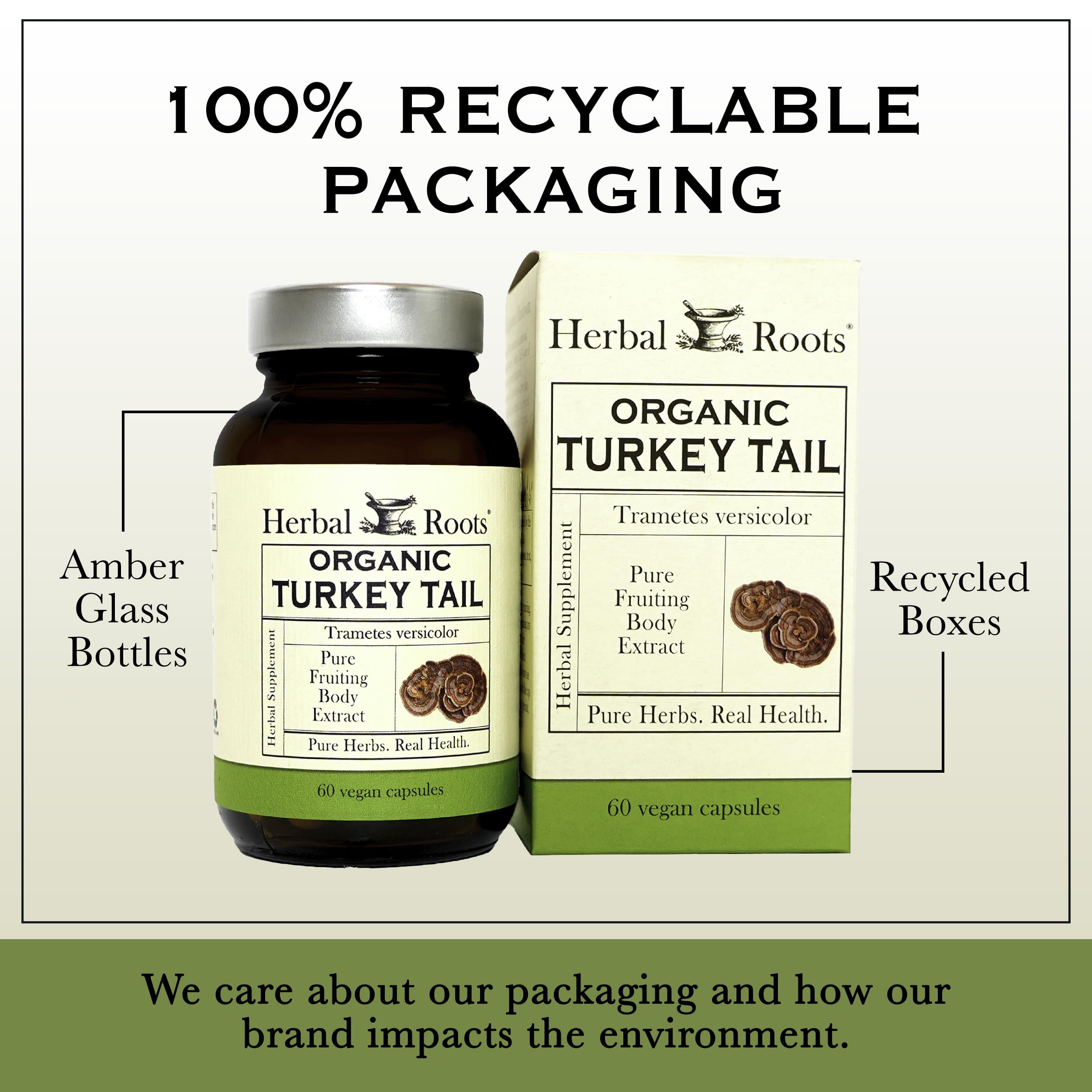 Herbal Roots suplemento de cuerpos fructíferos para bienestar diario