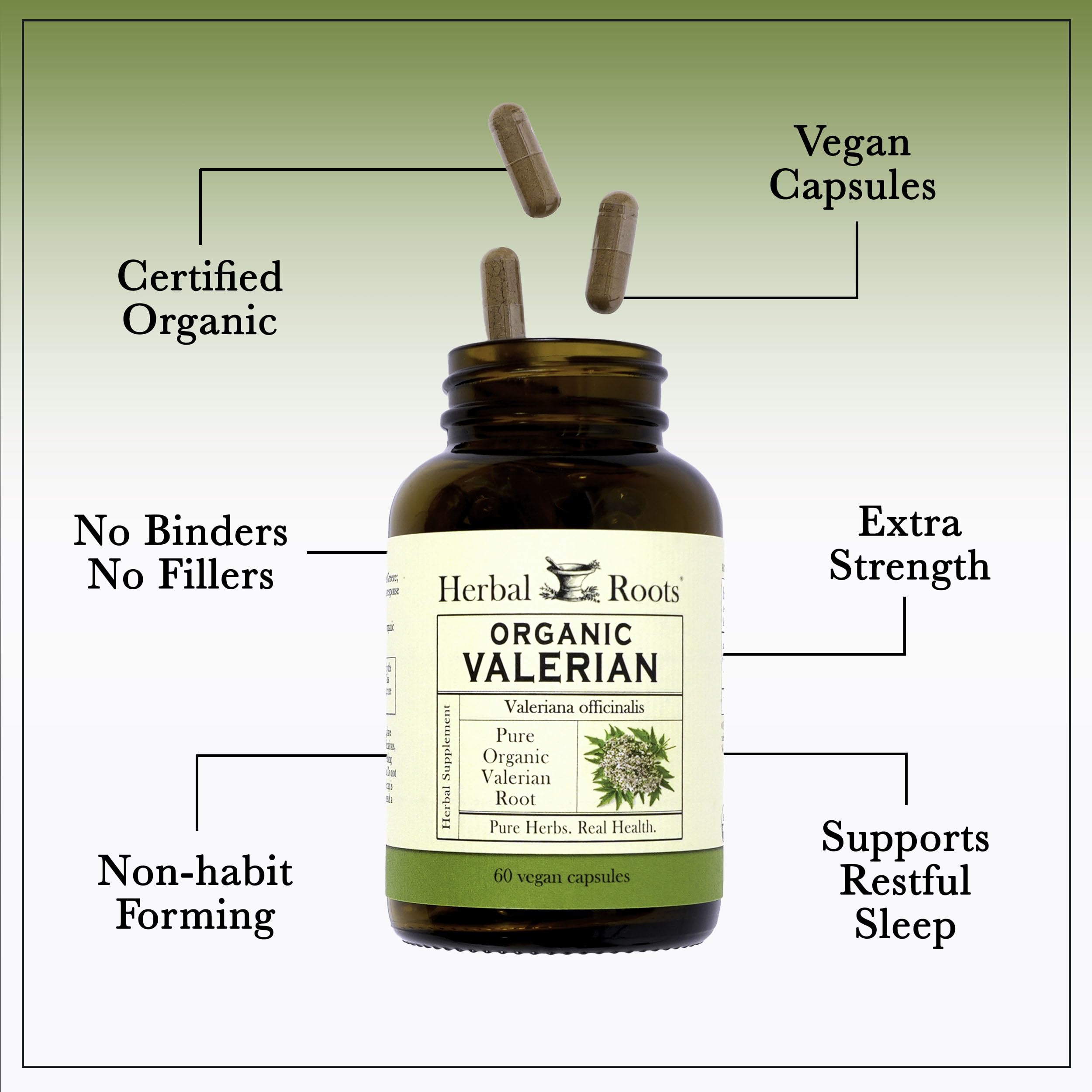 Capsulas orgánicas de Herbal Roots Valerian, alta potencia para calma sostenida.