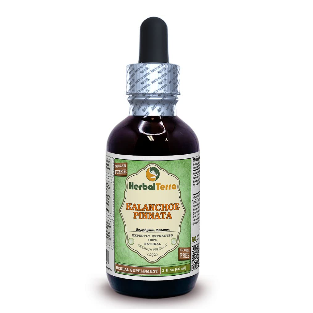 Herbal Terra LLC Kalanchoe Pinnata glicerito en frasco, uso diario sin alcohol