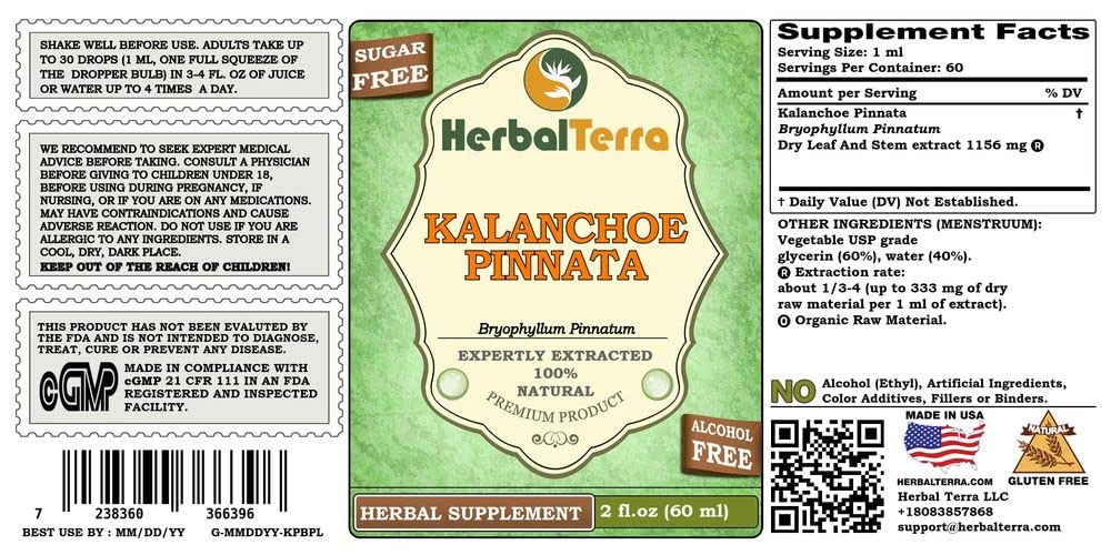 Herbal Terra LLC Kalanchoe Pinnata hojas y tallos secos para infusiones o extractos