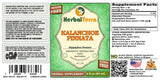 Herbal Terra LLC Kalanchoe Pinnata hojas y tallos secos para infusiones o extractos