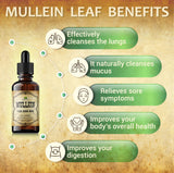 HERBALICIOUS Gotas de Mullein dosis diaria para uso simple