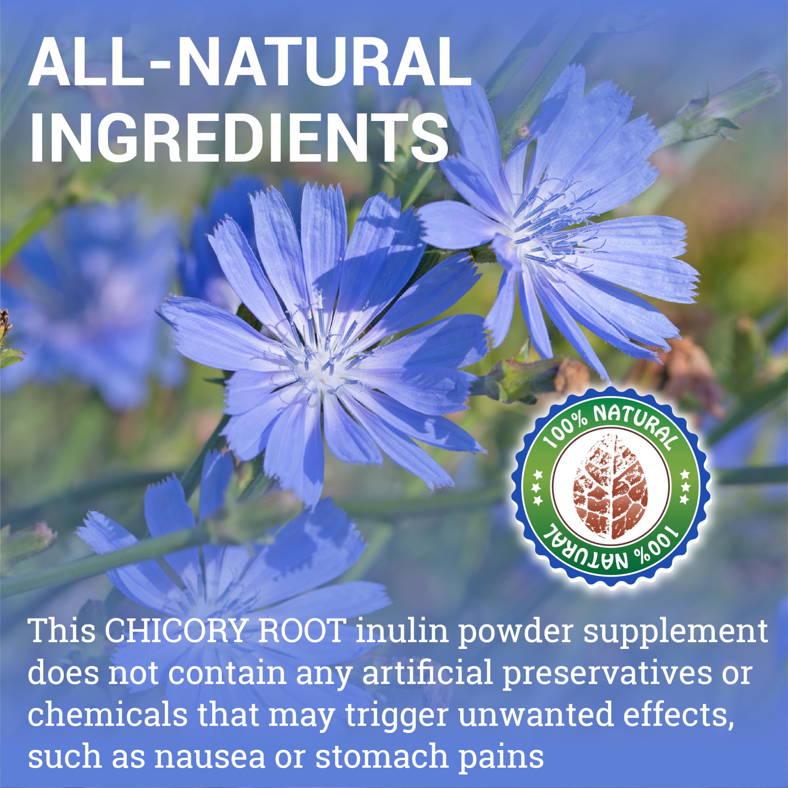 HERBALICIOUS inulina orgánica en polvo, enfoque en salud intestinal.