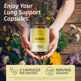 HERBAMAMA cápsulas con 1200 mg de mullein para soporte respiratorio diario.